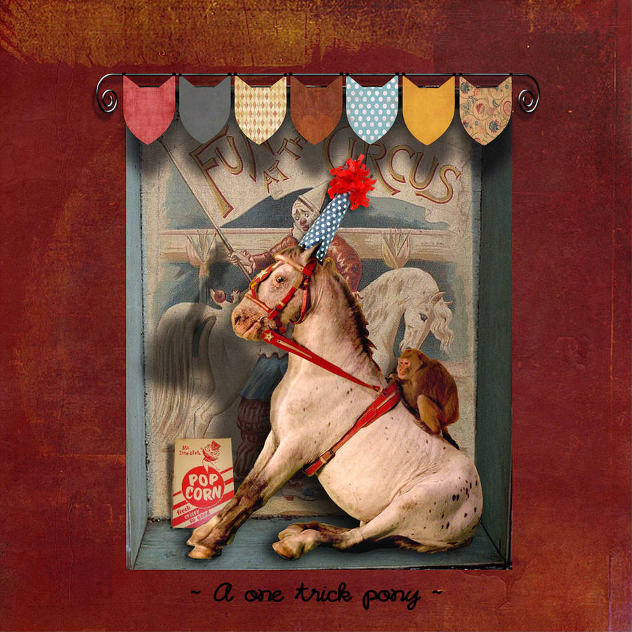 A one trick pony by montybearkins