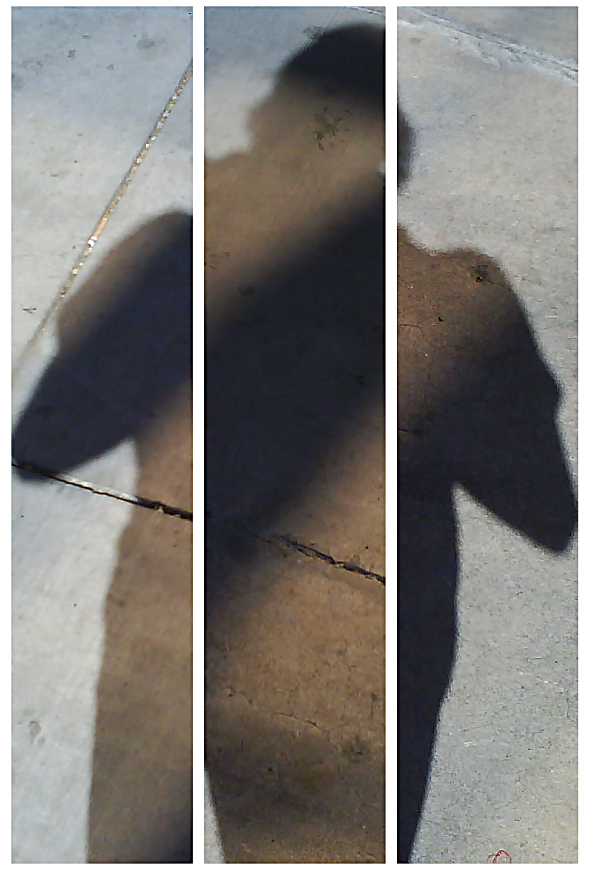 Shadows Three by tygerwulf