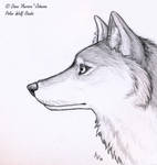 Beyond by PolarWolfStudio