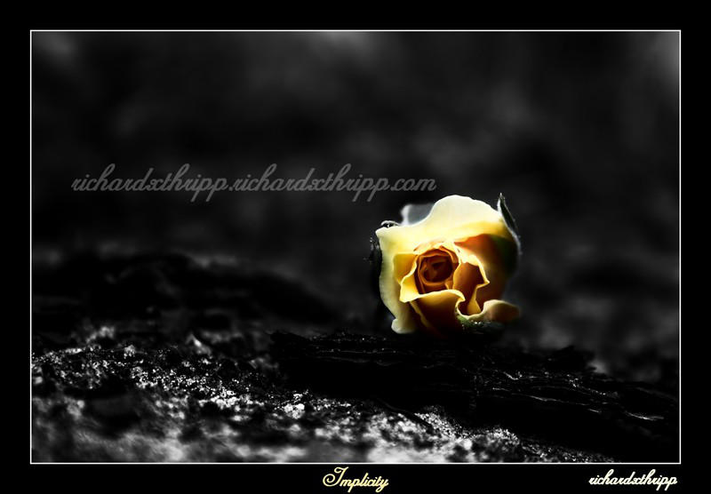 Implicity by richardxthripp