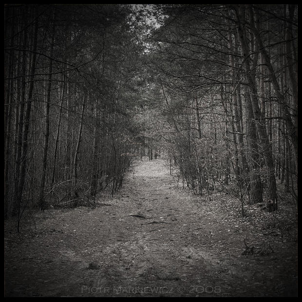 The path to your nightmares by Soczi