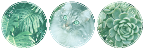 Meow by lleafeons