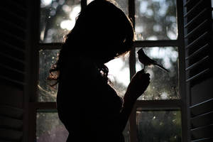 a little birdie told me II by blanklives