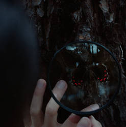 Through Child Eyes by Rebeca-Cygnus