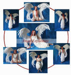 Angel Exclusives by mizzd-stock