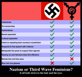 Nazis vs. Intersectional Feminists by Phracker