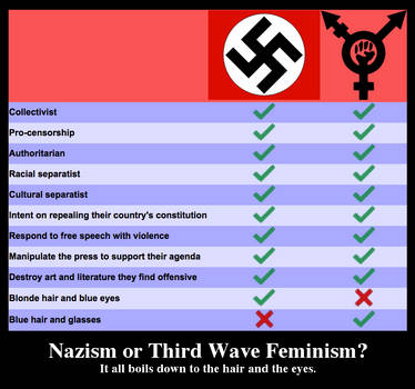 Nazis vs. Intersectional Feminists by Phracker