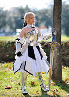 Saber Lily 2nd shot by Sandman-AC