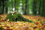 Isle Of Autumn by Thinking-Silence