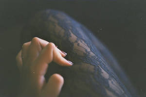 black cherry by mh22