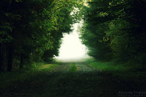 Uncertain End by AljoschaThielen