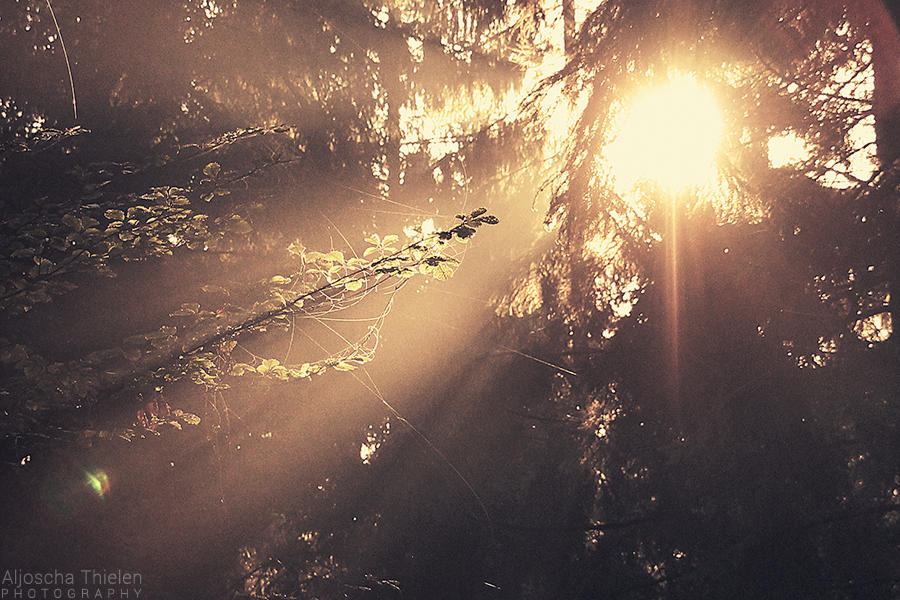 Golden Sword by AljoschaThielen
