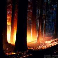 Supernatural by AljoschaThielen