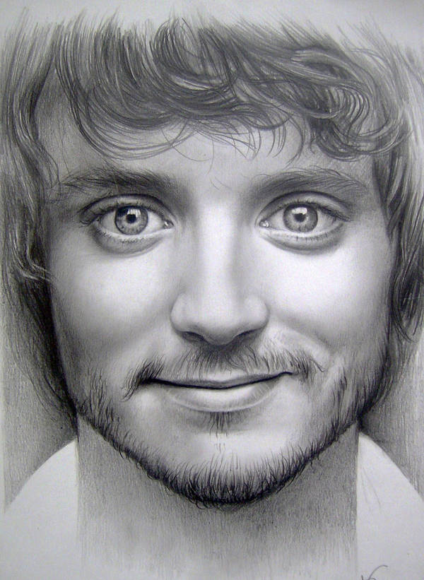 Elijah Wood by Raipun