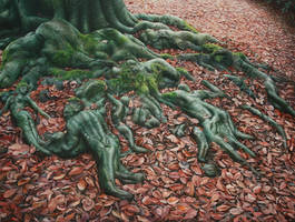 Nature's magic by Raipun