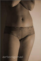 flowers slip by ArtOriginal