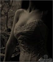 sepia by ArtOriginal