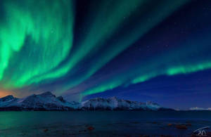 9 In The Afternoon by torivarn