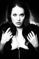 at a single glance... by LisaDenise