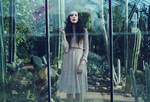 Through Glass by HappyKootie