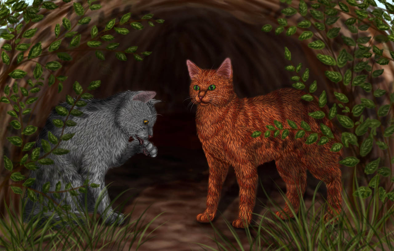 Firepaw and Graypaw by Alisa222