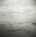 the quiet rite of spring by toy-camera