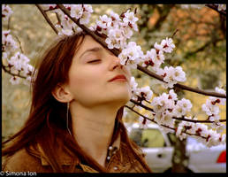 Another day in paradise by simonamoon