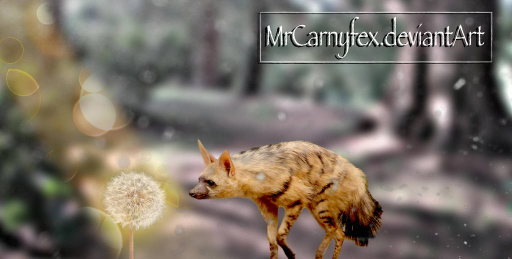 Smell The Flowers by MrCarnyfex