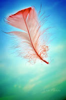 Feather by Miztliyuma