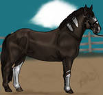 Not Backing Down- Halter entry by Tuckerlyn