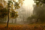 park... by mirandaarts