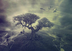 tree... by mirandaarts tree... by mirandaarts