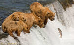 Family fishing. Grizzly by Terrise