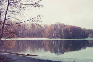 Growing Up by Alexial-kun