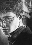 Harry Potter and Draco by Wicked-Illusion