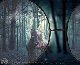Harry Potter Forest Scene Manip by CallOfTheRain