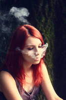 Red Dragon by just4fun31