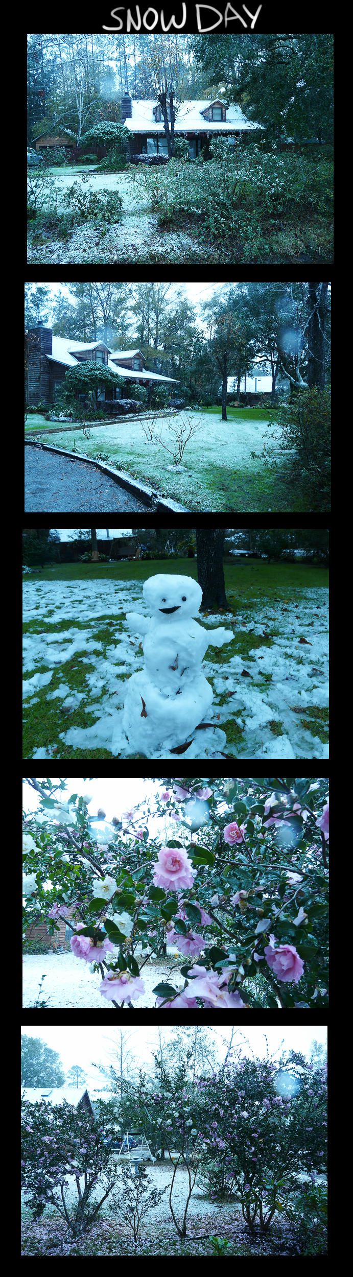 Louisiana Snow Day by TellerofTales
