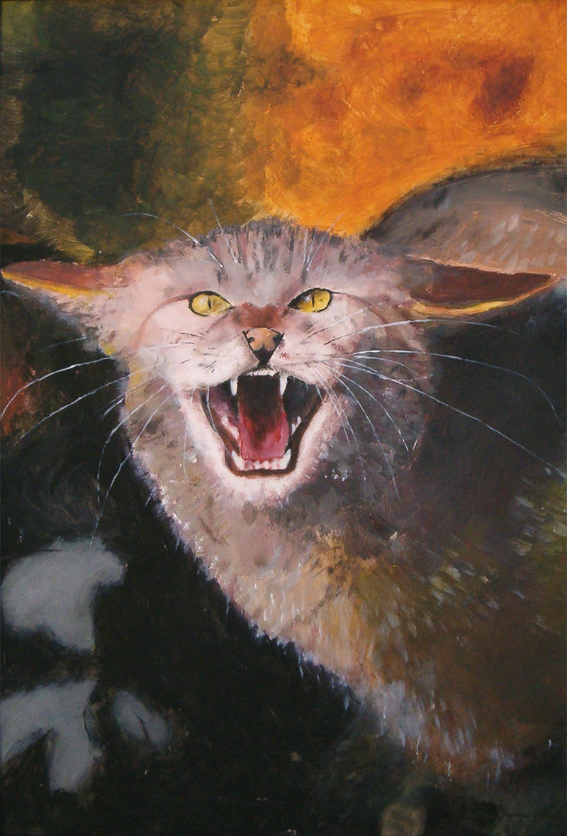 Wildcat by WildCat-ZA