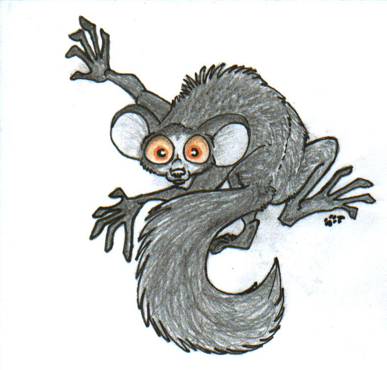 Aye-Aye for Kyoht by Damnation-of-Vega