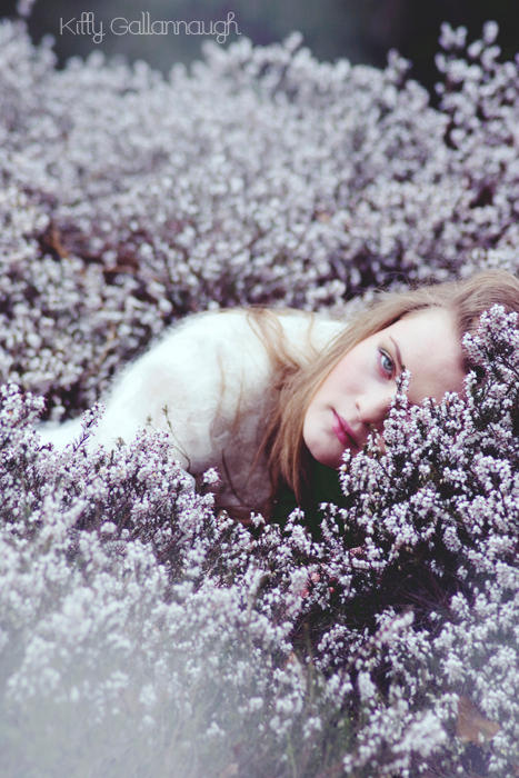 Heatherlover. by kittysyellowjacket