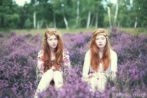 Flowers for a bed. by kittysyellowjacket