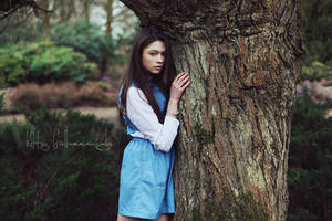 garden song by kittysyellowjacket