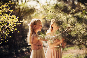 little rosebuds by kittysyellowjacket