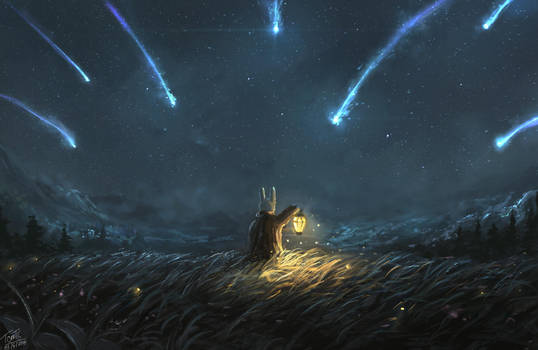 Midnight Shower by TomTC