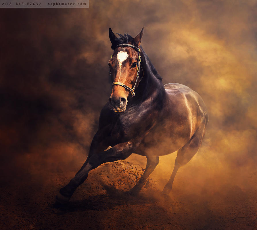 . by Nightmare-v