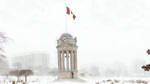 Winter wonderland 2010 by chirilas