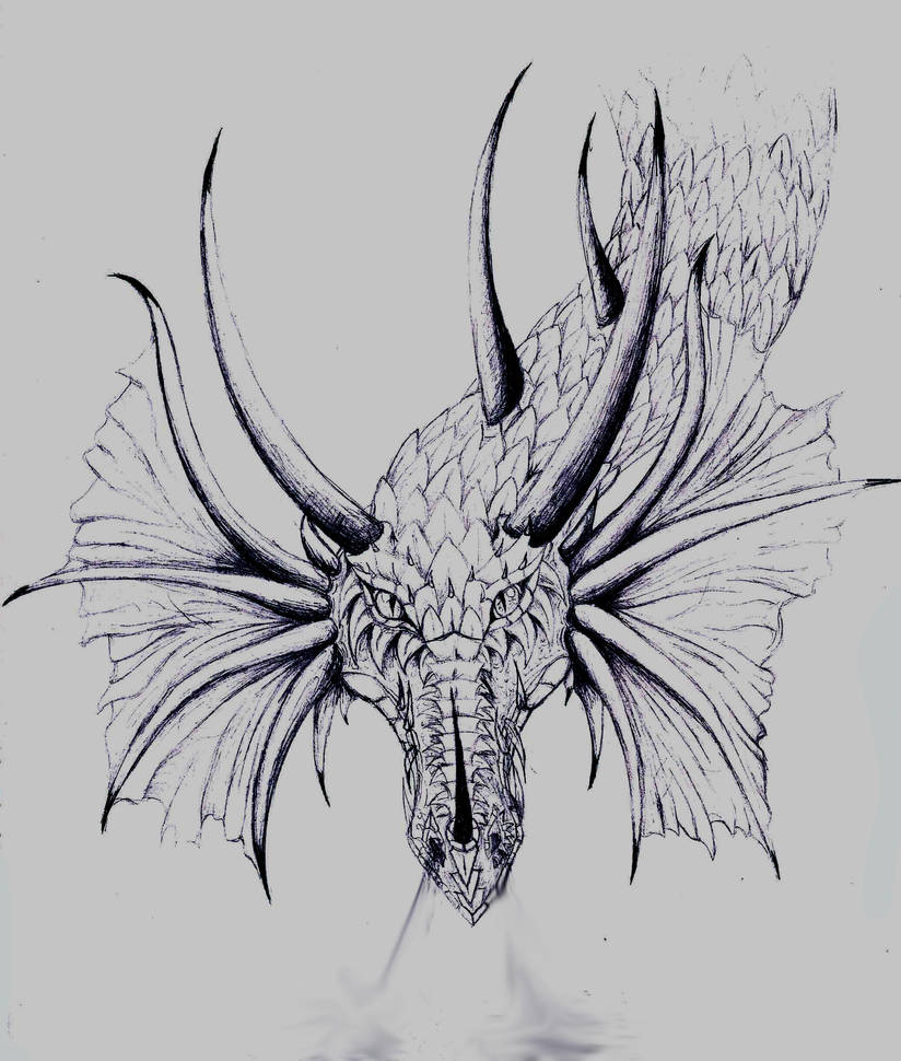 Dragon Breathing Smoke by dragonphysic on DeviantArt