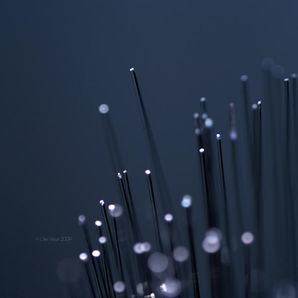 Wannabe incense by Oer-Wout