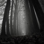 Wanderer II by Oer-Wout